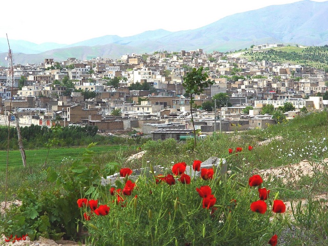 شهرستان کامياران