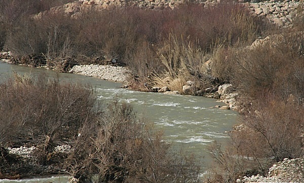 رودخانه شاپور